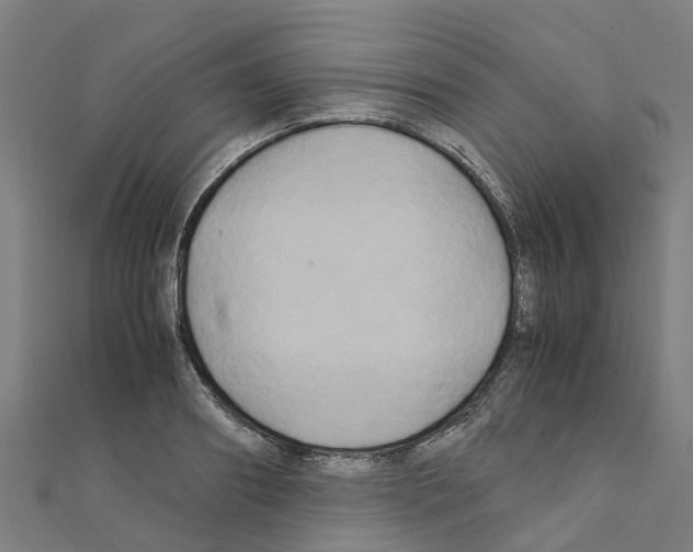 X0000111210890200908121130