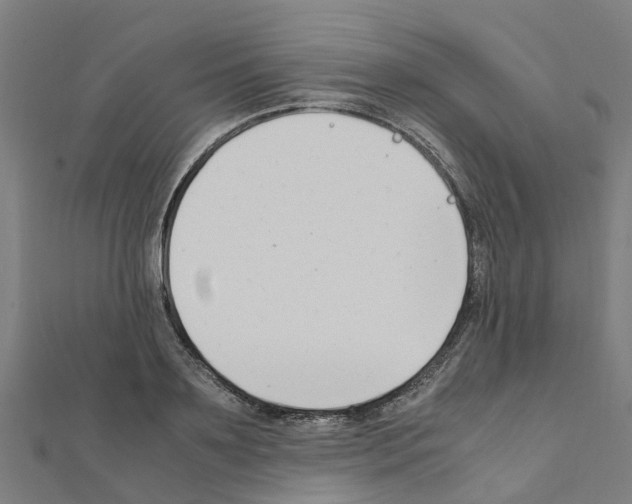 X0000111210891200908121130