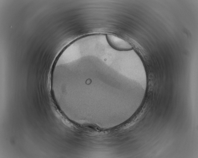 X0000111210892200908121130