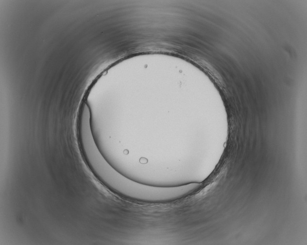 X0000111210893200908121130