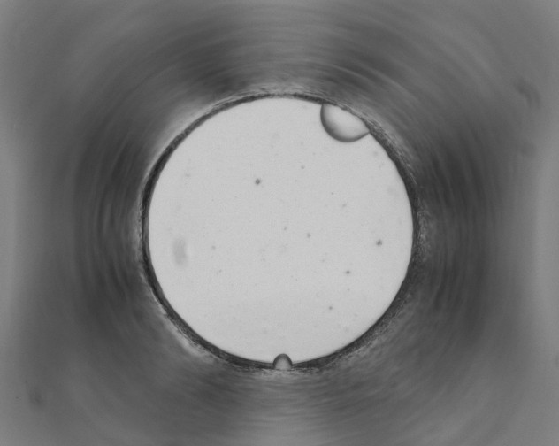 X0000111210894200908121130