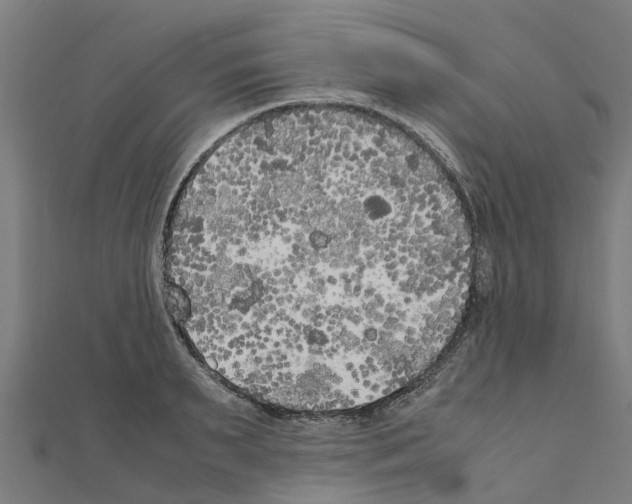 X0000111210895200908121130