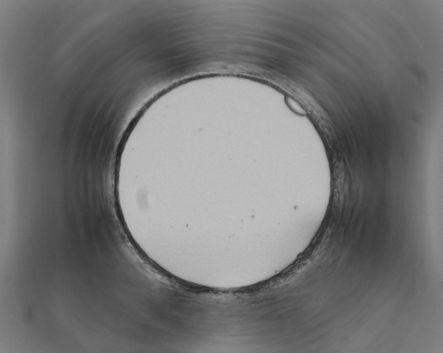 X0000111210896200908121130