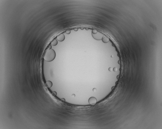 X0000111210898200908121130