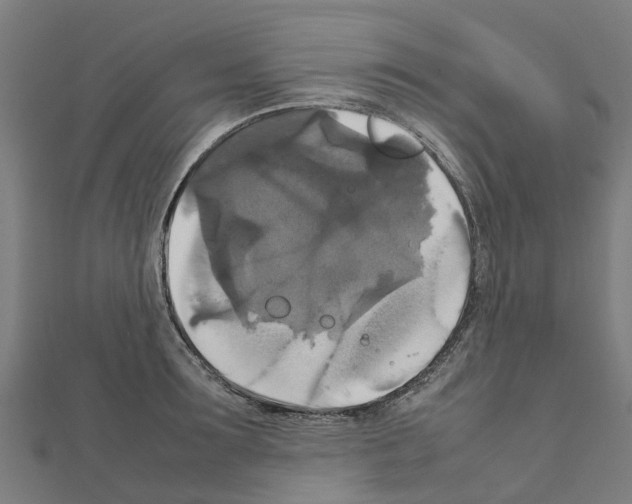 X0000111210899200908121130