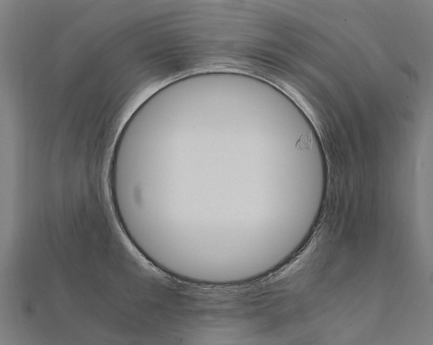 X0000111210901200908121130