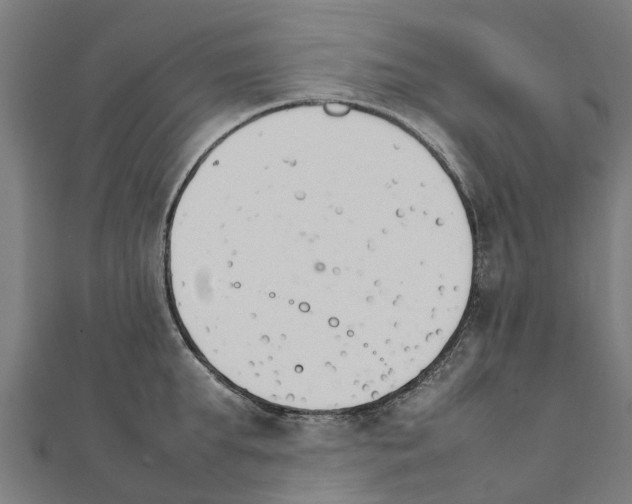 X0000111210903200908121130