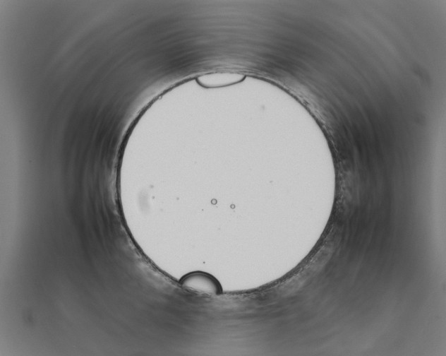 X0000111210904200908121130