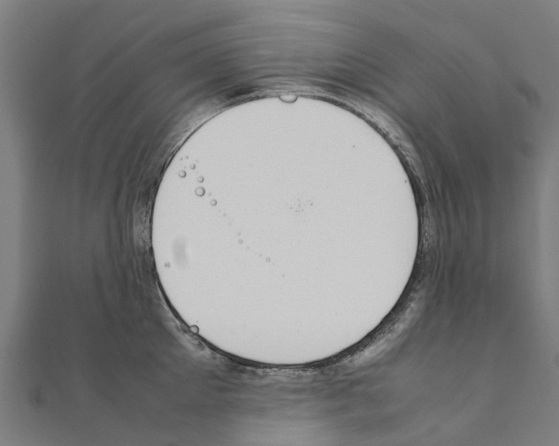 X0000111210905200908121130