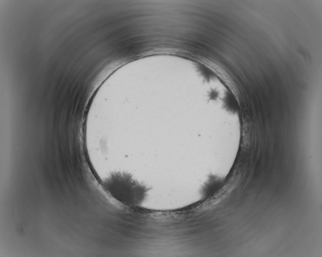 X0000111210906200908121130