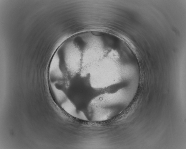 X0000111210907200908121130