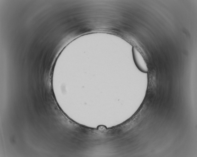 X0000111210908200908121130