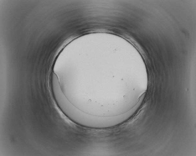 X0000111210909200908121130