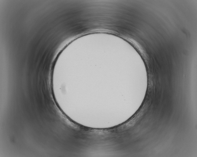 X0000111210910200908121130