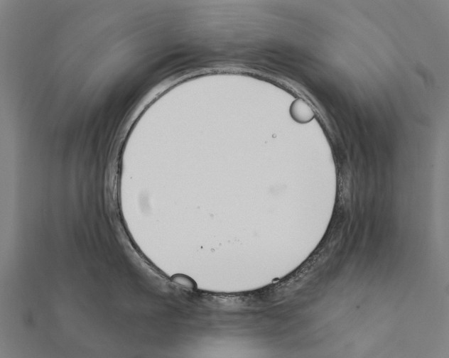 X0000111210911200908121130