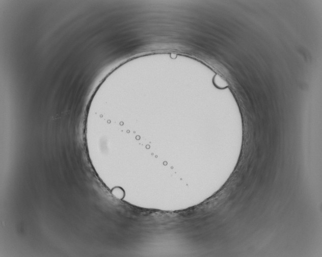 X0000111210912200908121130