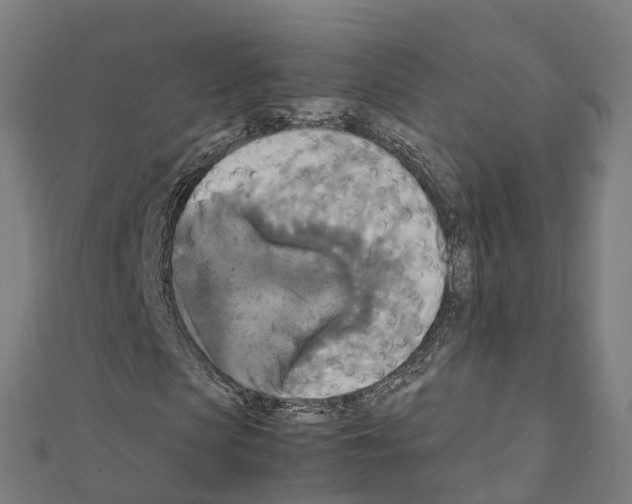 X0000111210913200908121129