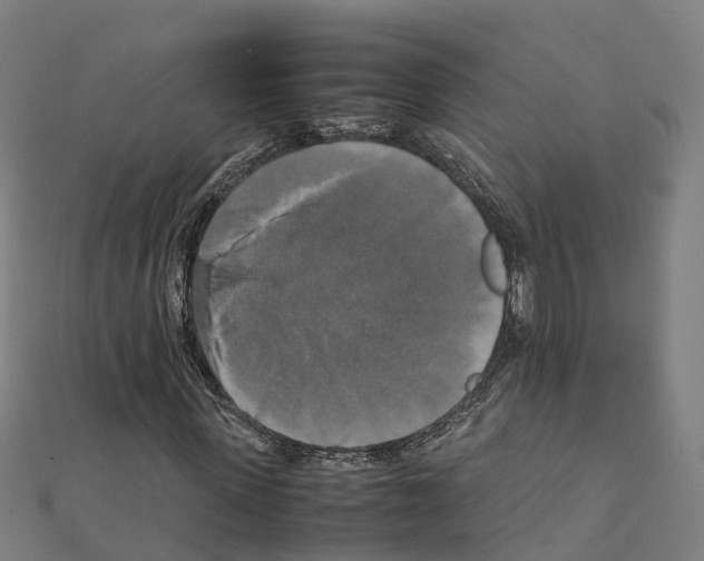 X0000111210915200908121129