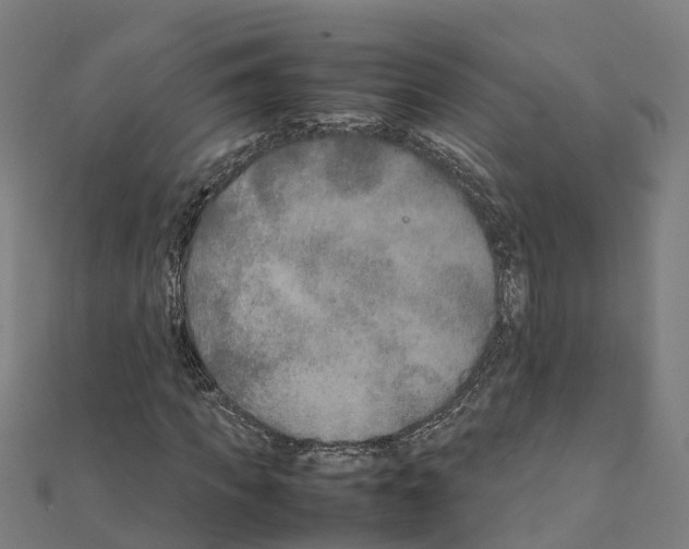 X0000111210917200908121129