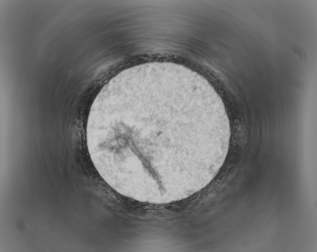 X0000111210918200908121129