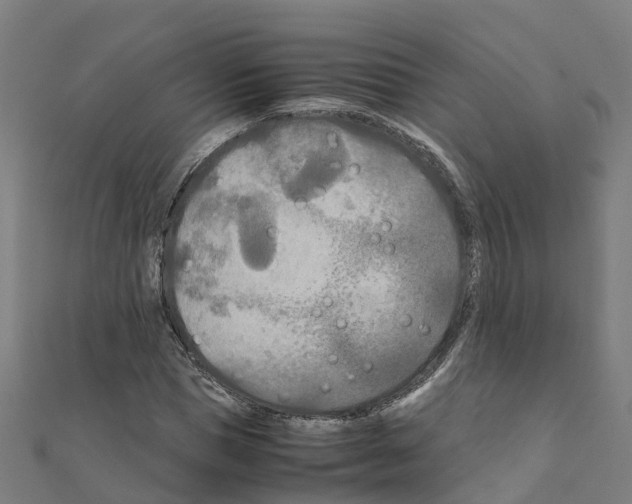 X0000111210921200908121129