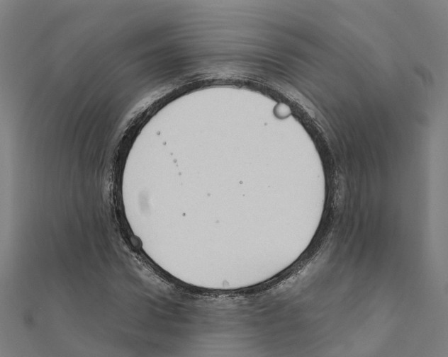 X0000111210922200908121129