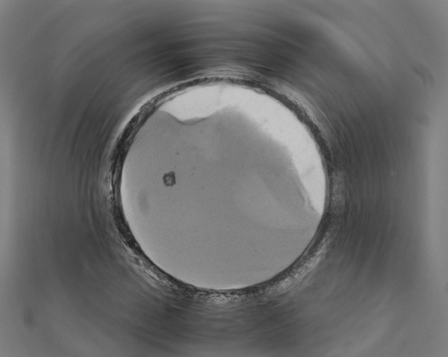 X0000111210923200908121129