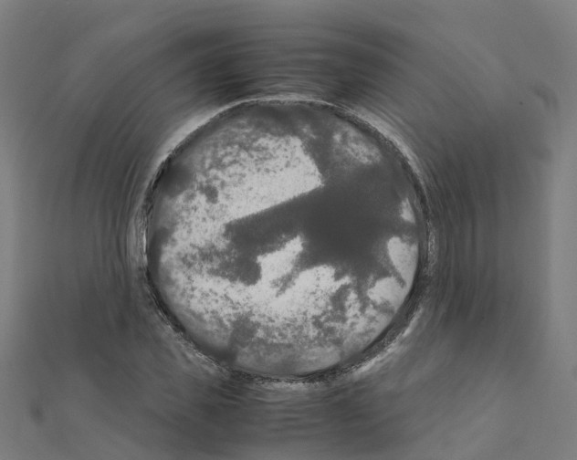 X0000111210925200908121129