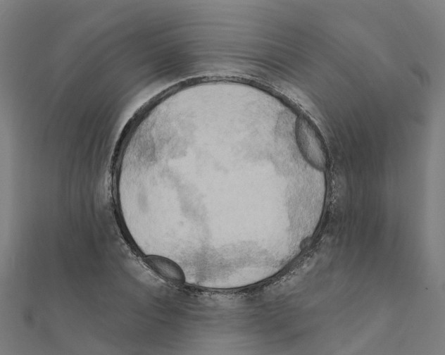 X0000111210928200908121129