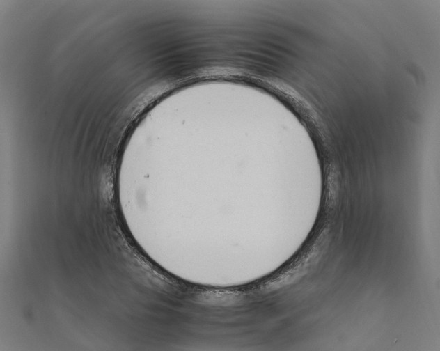 X0000111210929200908121129