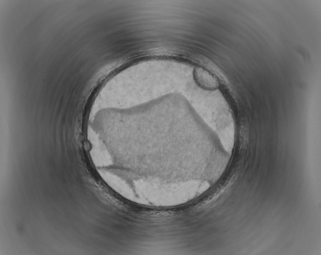 X0000111210930200908121129