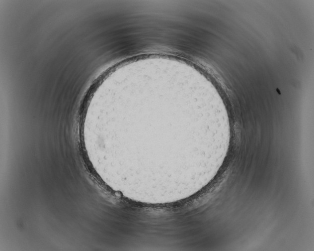 X0000111210931200908121129