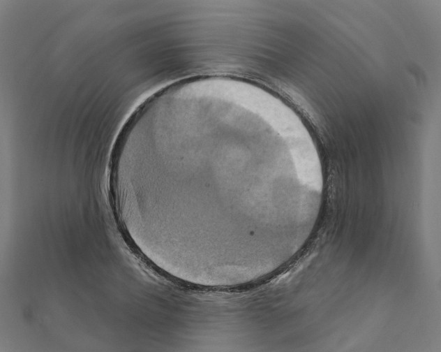 X0000111210932200908121129