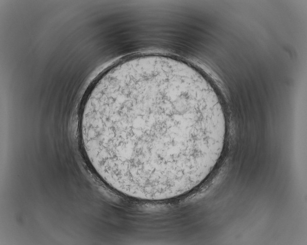 X0000111210933200908121129