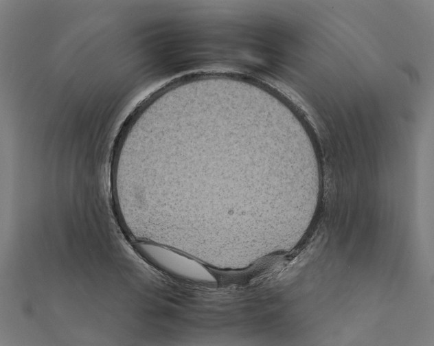 X0000111210935200908121129