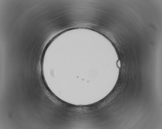 X0000111210936200908121129