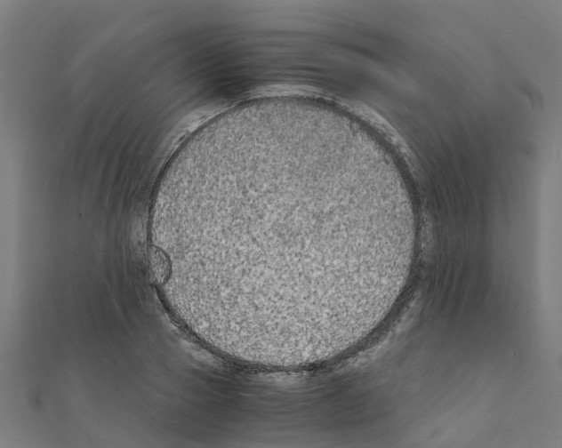 X0000111210937200908121129