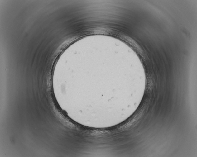 X0000111210938200908121129