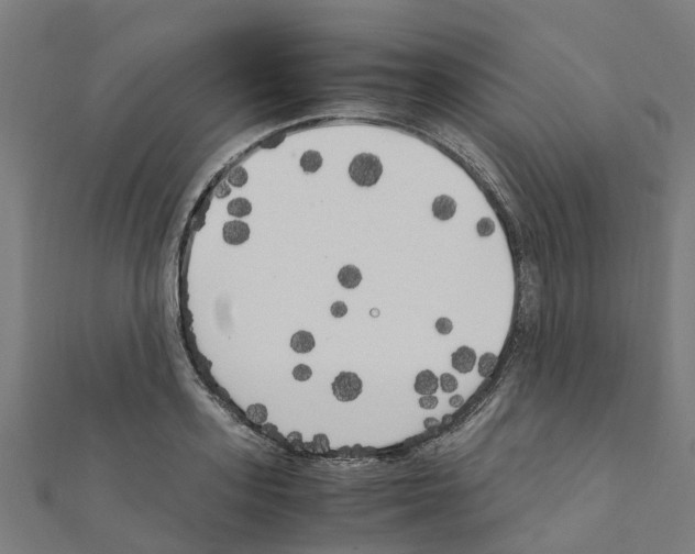 X0000111210939200908121129