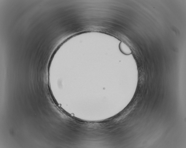 X0000111210940200908121129