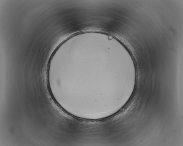 X0000111210941200908121129