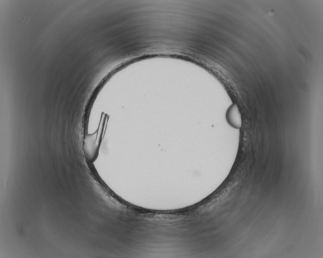 X0000111210942200908121129