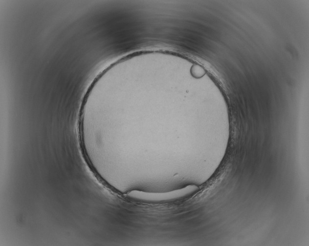 X0000111210943200908121129