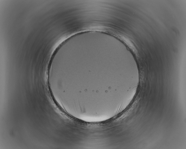 X0000111210944200908121129