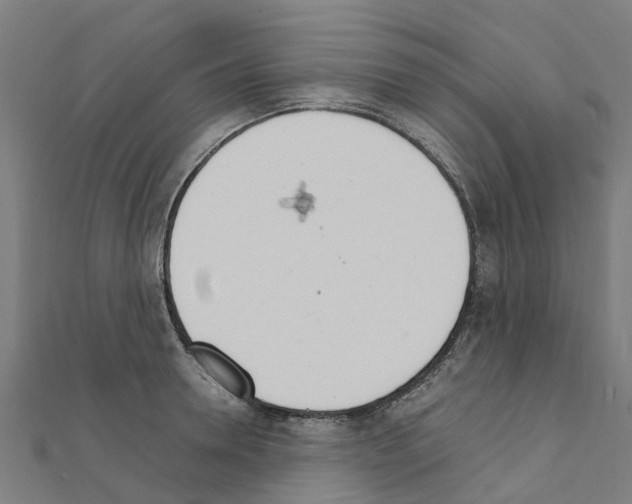 X0000111210946200908121129