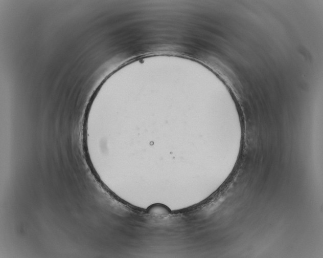 X0000111210949200908121129