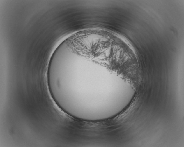 X0000111210951200908121129