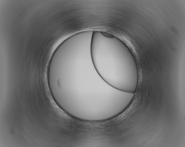 X0000111210952200908121129