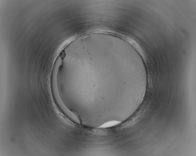 X0000111210954200908121129