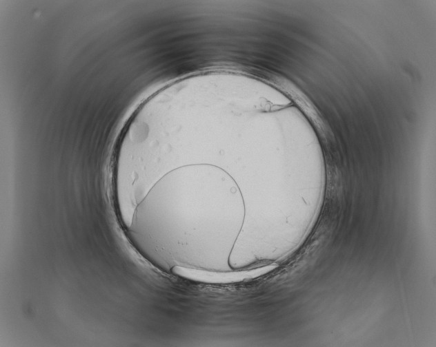 X0000111210955200908121129